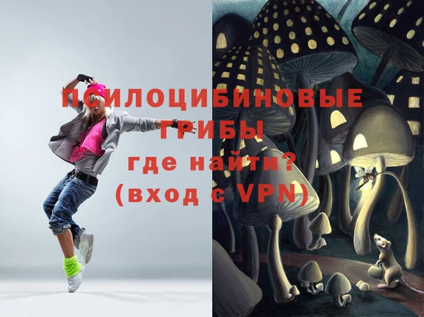 первитин Алексеевка