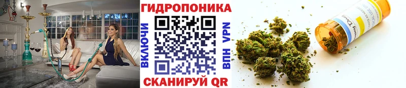 Бошки марихуана марихуана  Карабаново 
